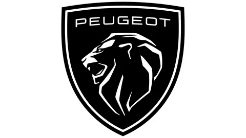 Peugeot Servisi